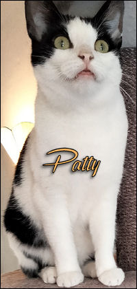 Patty2.jpg